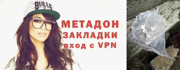 амф Гусь-Хрустальный