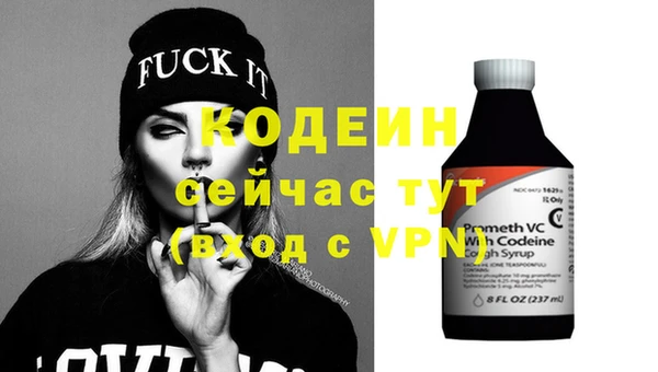 прущие грибы Тында
