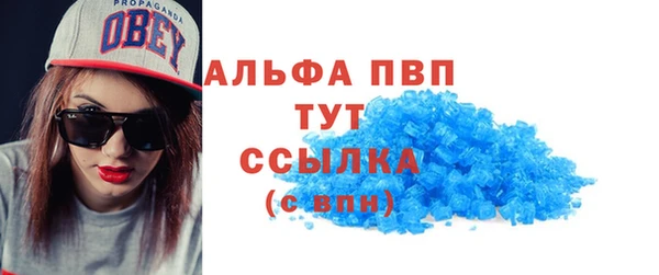 амф Гусь-Хрустальный