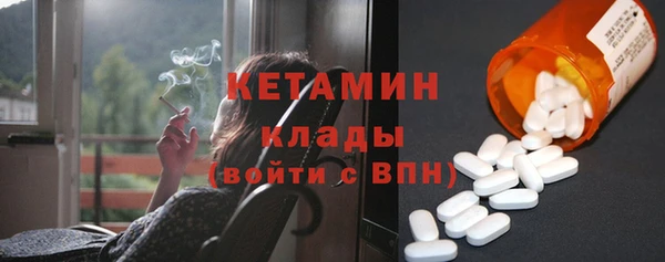 амф Гусь-Хрустальный