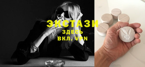 амф Гусь-Хрустальный