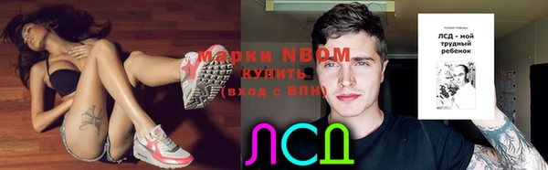 амф Гусь-Хрустальный