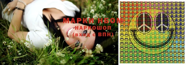 амф Гусь-Хрустальный