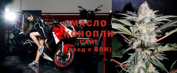 амф Гусь-Хрустальный