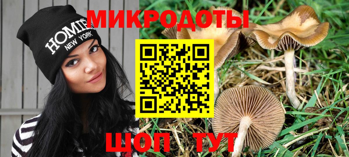 Псилоцибиновые грибы прущие грибы Дагестанские Огни