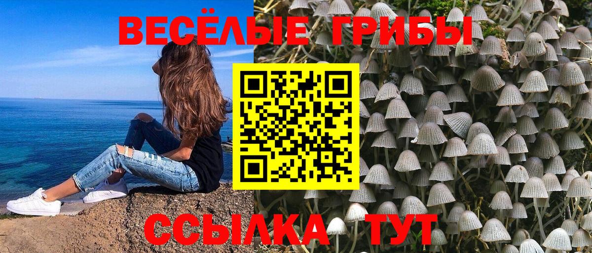 Дагестанские Огни  Галлюциногенные грибы ЛСД  Вход с VPN 