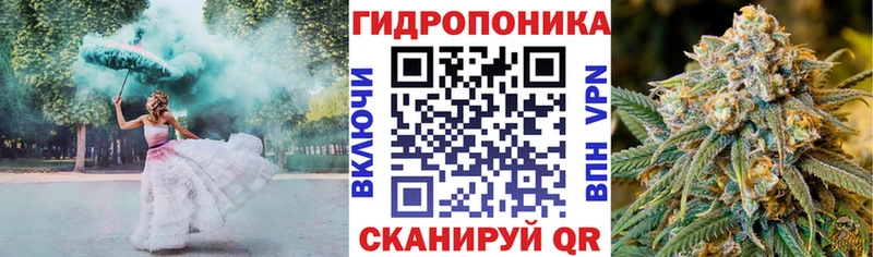 Бошки марихуана MAZAR  Дагестанские Огни 